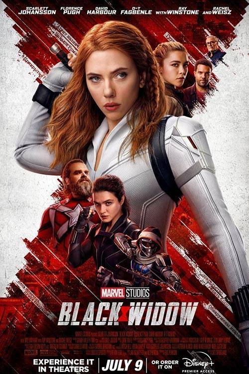Black-window-movie-Poster.jpg